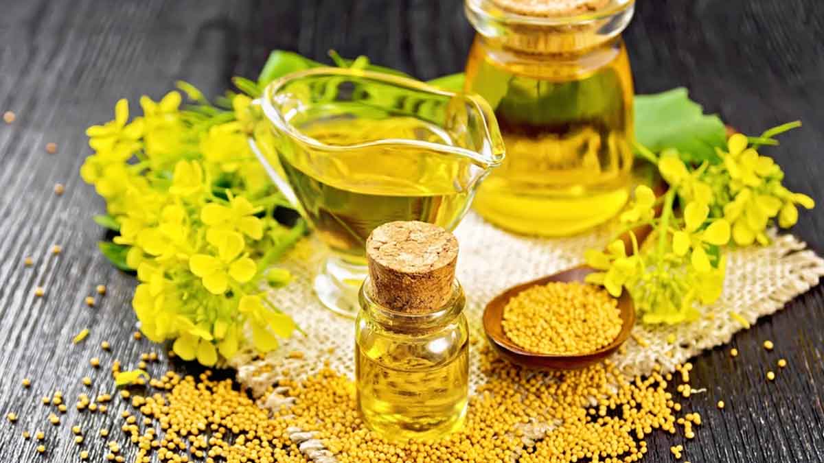 mustard production