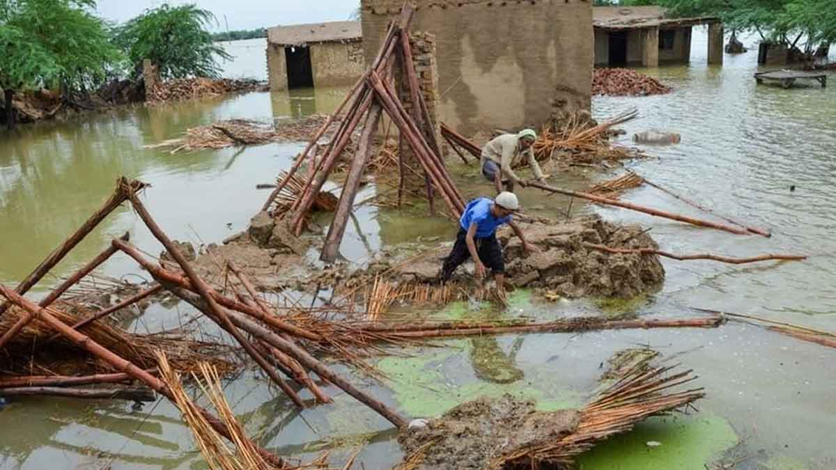 climate change