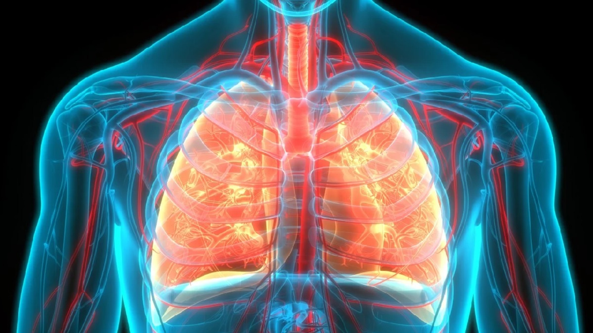 Lung cancer is the third most common cancer in the United States, with the highest mortality rate, according to the Centers for Disease Control and Prevention.