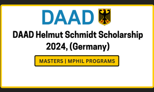 DAAD Invites Applications for the Helmut-Schmidt-Programme Master's Scholarships
