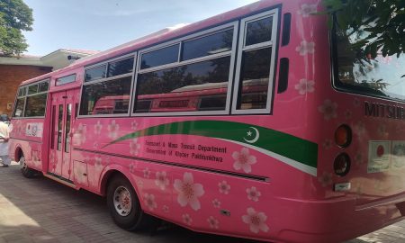 Pink Buses in peshawar