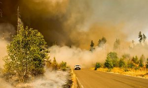 A recent report by the Intergovernmental Panel on Climate Change (IPCC) highlights the alarming increase in global surface temperatures since 1970. According to the 2023 synthesis report, human-caused warming has accelerated from 0.8°C in the second half of the 19th century to 1.3°C in the 2010s. The report reveals that global temperatures rose by 1.1°C between 2011 and 2020 compared to the period between 1850 and 1900. It emphasizes that human-induced climate change has triggered extreme meteorological and climate events such as heat waves, heavy rainfall, droughts, and tropical cyclones. The impacts of these changes on ecosystems, including the hydrological effects resulting from the melting of glaciers and thawing permafrost in mountain and arctic ecosystems, are becoming irreversible. The report warns that nearly 50% of coastal and wetland ecosystems have been destroyed in the past century due to rising sea levels, increased temperatures, and extreme climate events. Climate change is also accelerating desertification and soil degradation, particularly in coastal areas, river deltas, drylands, and permafrost regions. While average agricultural production has increased, climate change has hindered global output growth over the past 50 years, leading to food insecurity and reduced water security for millions of people. In urban areas, climate change is causing adverse effects on human health, livelihoods, and essential infrastructure, with rising temperatures contributing to increased air pollution. The report further states that climate change leads to economic losses and disrupts services, particularly in urban infrastructure, transportation, water and sanitation, and energy systems. The IPCC report predicts that global warming will continue to increase in the near future across all scenarios and models considered. However, there is hope as governments are increasingly focusing on climate change, spurred by international agreements and heightened national aspirations for climate action. The report emphasizes that combating climate change and global warming will require effective planning, political commitment, well-organized governance structures, and institutional frameworks encompassing legal, policy, and strategic aspects. It stresses the need for clear objectives, adequate financial resources and instruments, coordination across various policy areas, and inclusive management processes.