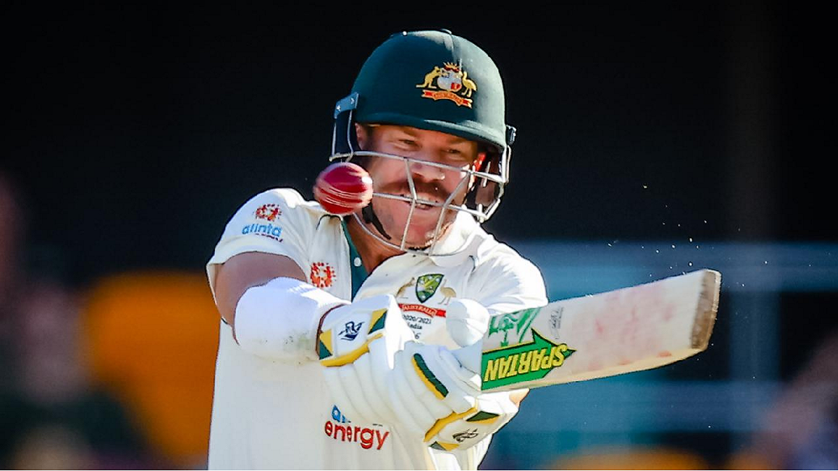 david warner australian player